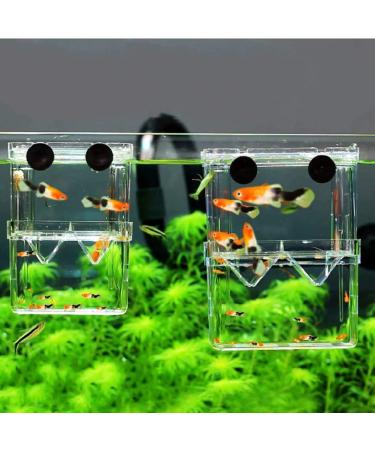 In-Tank Aquarium Breeder Box for Fish Tank | Acrylic Divider for Shrimp Clownfish | Small Fish Hatchery and Incubator - Ideal for Breeding, Isolating Aggressive or Injured Fish - Buy Online on SooperMarket.com