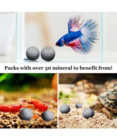 Sungrow 10 Hermit Crab & Crayfish Calcium Supplement Balls - 30+ Minerals for Molting Pets - Buy Online on SooperMarket.com