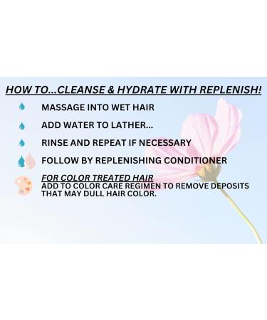 Tressa Replenishing Shampoo - Gentle Cleansing Color Safe Removes Dulling Deposits & Build-Up Brightens Colored & Highlighted Hair - 13.5 oz - Buy Online on SooperMarket.com