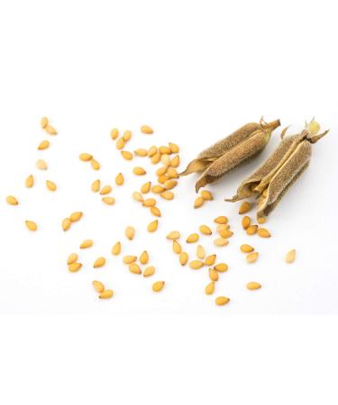 Organic Unhulled Sesame Seeds 8 Pounds - Non-GMO, Kosher, Vegan, Bulk - Rich in Fiber, Protein, and Iron - Great for Baking - Buy Online on SooperMarket.com