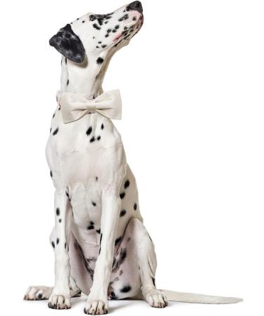 Lionet Paw's White Wedding Dog Collar - Comfortable Silk with Removable Fly for Puppies & Cats | XS (20-30cm) | International Shipping - Buy Online on SooperMarket.com