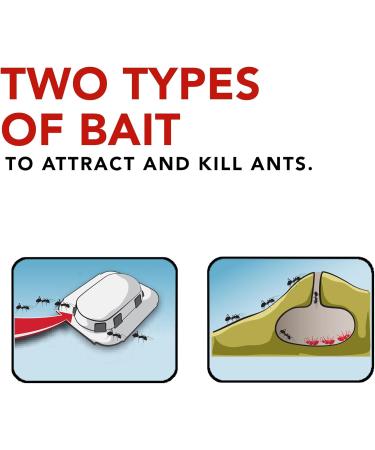 Raid Ant Killer Baits And Traps For Indoor Use Child Resistant 8 Count Baits Ant Killer - Buy Online on SooperMarket.com