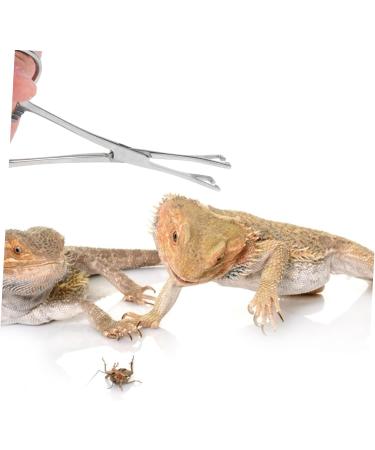 CORHAD Reptile Feeding Clip Reptile Tongs Feeding Reptile Tools Stainless Steel Silver - Buy Online on SooperMarket.com
