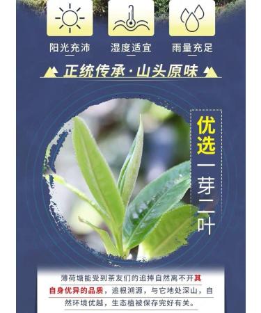 Pu-erh tea 2020 SHENG JIA YUAN Mint pond 357g Raw - Buy Online on SooperMarket.com