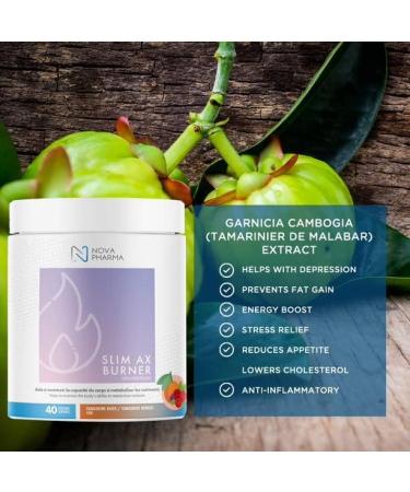 Nova Pharma Pre Workout Powder - Garcinia Cambogia - L Carnitine Supplement - Chromium Supplement - 40 Servings (Tangerine & berries) - Buy Online on SooperMarket.com