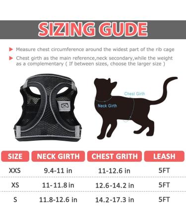 Escape Proof Cat Harness Set with Lead for Cats - XS Size - Buy Online on SooperMarket.com