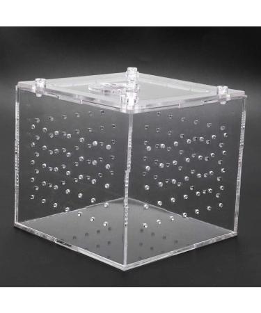 Acrylic Reptile Breeding Box Transparent Live Food Storage Insect Viewing Box for Spider Crickets Snails Hermit Crabs Tarantulas Geckos 3.9x3.9x3.5inch - Buy Online on SooperMarket.com