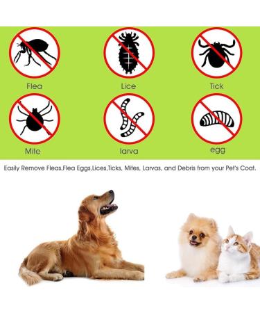 Tick Remover 3pc Tool Set |Tick Removal Tools for Dogs |Tick Remover for Cats | Painlessly Tick removal Tool | Tick Remover for Humans - Buy Online on SooperMarket.com