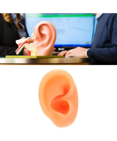Flexible Silicone Human Ear Model for Displaying Earrings - Reusable Fake Ear Right Side - Buy Online on SooperMarket.com