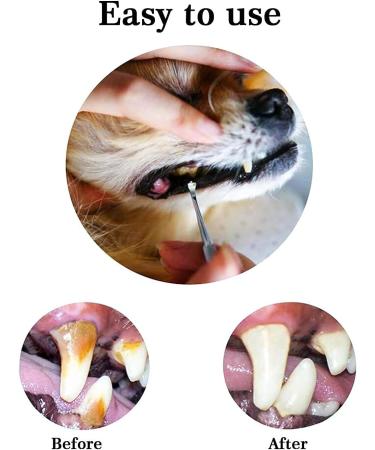 Dog Dental Tooth Scaler and Scraper Stainless Double Headed Tarter Remover Scraper Pet Teeth Cleaning Tools for Dog and Cat (3) - Buy Online on SooperMarket.com
