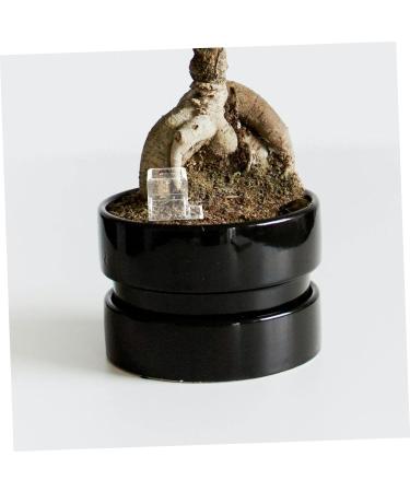BESPORTBLE 2pcs Pet Water Feeder Ants Drinking Tool Ants Water Drinking Bowl Ants Water Bowl Plastic - Buy Online on SooperMarket.com
