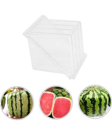 OSALADI Fruit Pumpkin Tools Watermelon Forming Molds Gardening Supplies Vegetable Stereotypes Moss 15x15cm Transparent - Buy Online on SooperMarket.com