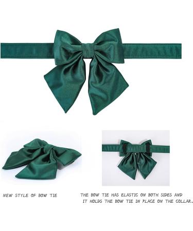 Lionet Paws Dog Collar - Comfortable Silk with Removable Fly for Large Dogs (Neck 40-60cm) - Green 1 Pack - Buy Online on SooperMarket.com