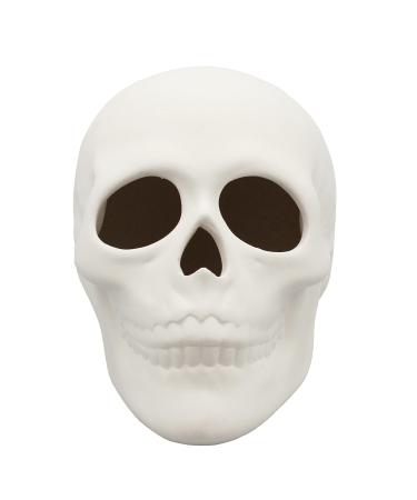 Creative Hobbies Ready to Paint Ceramic Bisque  5 Inch Long x 4 Inch Tall Skull  Includes How to Paint Your Own Pottery Booklet