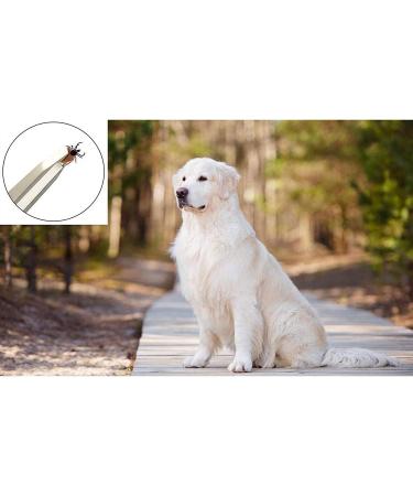 AFTREN Tick Remover Pet Care Tool Set Flea Comb Real Bamboo Contour Grip Handle Dogs Cats Horses 5 Pcs Stainless Steel Fleas Ticks Remover Kit - Buy Online on SooperMarket.com