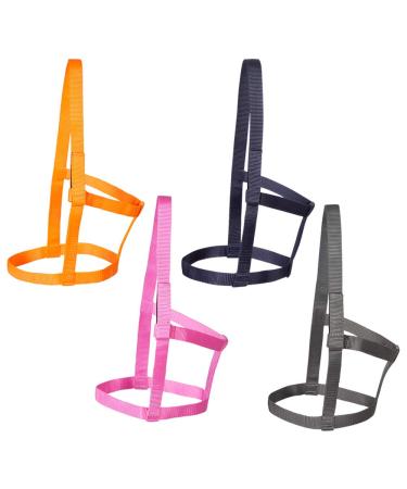 PFIFF 102920 pasture halter Joky pasture paddock without fittings nylon orange MS MS Orange