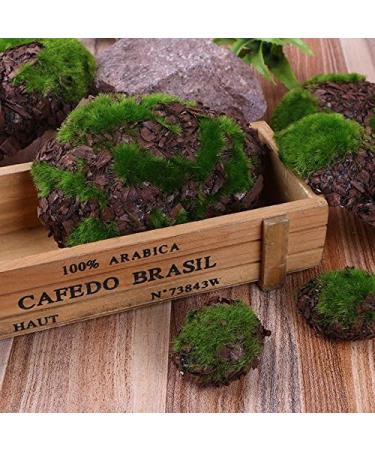 12Pcs Artificial Rock Moss Balls - Garden Decor & Floral Arrangements DIY - Buy Online on SooperMarket.com