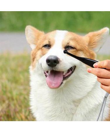 Professional Tear Stain Remover Powder & Applicator Brush for Dogs & Cats | Eye Care Comb for Pet Tear Stains - Buy Online on SooperMarket.com