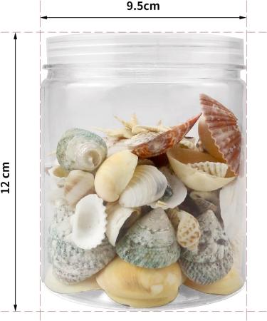 100+ Pcs WEOXPR Mixed Sea Shells & Starfish - Beach Themed Decor for Fish Tank, Vase Fillers, Wedding, Crafts & Home Decor - Buy Online on SooperMarket.com