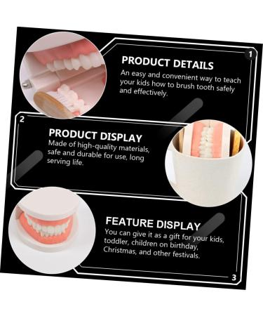Minkissy Educational Tooth Brushing Toy Set - Early Learning Teeth Model for Kids | Reusable Pedagogical Teaching Tools - Buy Online on SooperMarket.com