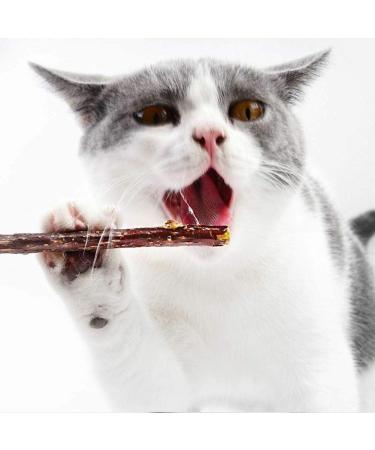 3PCS Natural Catnip Stick Cat Cleaning Teeth Molar Toothpaste Branch Cats Snacks Sticks Supplies Kitten Pet Biting Excitement Stick - Buy Online on SooperMarket.com