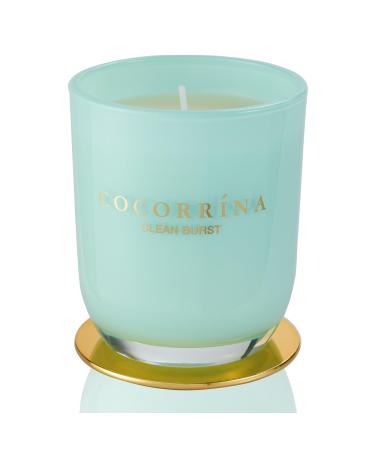 Cocorr na Candle fragrance candle in a glass - clean burst burning time up to 46 hours with 2 wicks natural soy candle Christmas gift candle 420g clean burst 420g