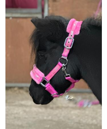 Equipride Horse Print Faux Lined Nylon Headcollars with Matching Lead Rope PINK (Mini Shetland) Pink Mini Shetland - Buy Online on SooperMarket.com