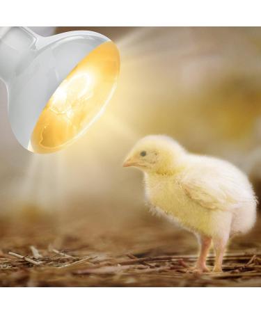 Adiwo Basking Spot Lamp 2 Pack 100W Reptile Heat Bulb Tortoise Heat Lamp Natural Light Basking Bulb Light Heat Lamp for Reptiles Amphibian Chicks Puppies Heating Use (White) - Buy Online on SooperMarket.com