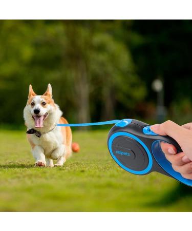 Edipets Retractable Dog Leash - 5m Flexileine for Dogs up to 50kg | Extendable & Inserable Walking Band - Buy Online on SooperMarket.com