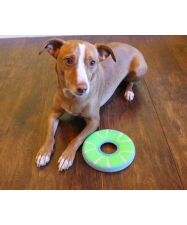 Buy Chuckit! CH32305 Zipflight Max Glow Small - Best International Shipping for Pet Toys - Buy Online on SooperMarket.com