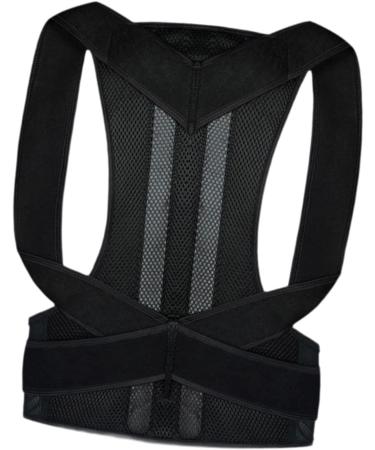 Oshhni Back Brace Lumbar Support Back Correction Belt for Family Adults Teens Women Men L - Buy Online on SooperMarket.com