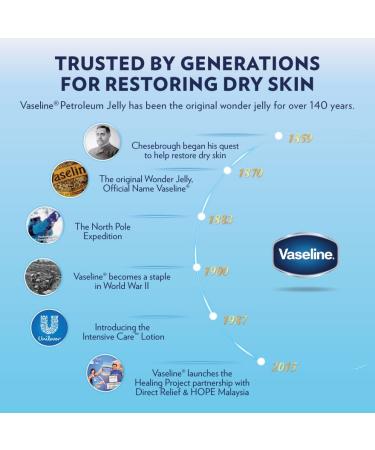 Vaseline Lip Therapy Mint with Backer Card - Hydrating Lip Balm - Buy Online on SooperMarket.com