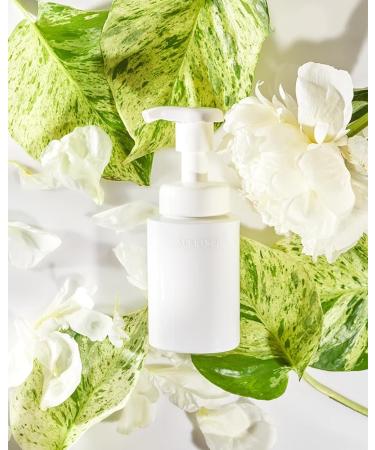 SEKKISEI Clear Wellness Gentle Wash Refill - Facial Cleanser for Sensitive Skin 4.7 Oz | Shop Internationally - Buy Online on SooperMarket.com