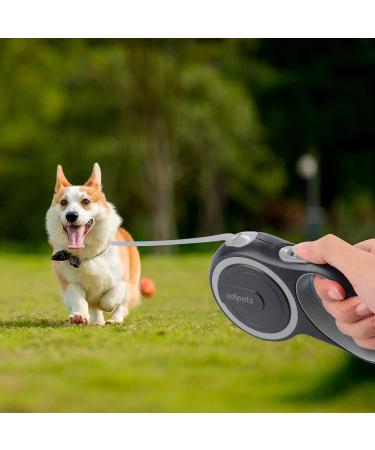 Edipets 5m Retractable Dog Leash - Flexible Extendable Leash for Dogs up to 20kg | Comfortable Walks with Inserable Design - Buy Online on SooperMarket.com