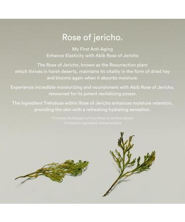Abib Collagen Eye Cr me - Jericho Rose for Dark Circles & Puffiness | Global Shipping Available - Buy Online on SooperMarket.com