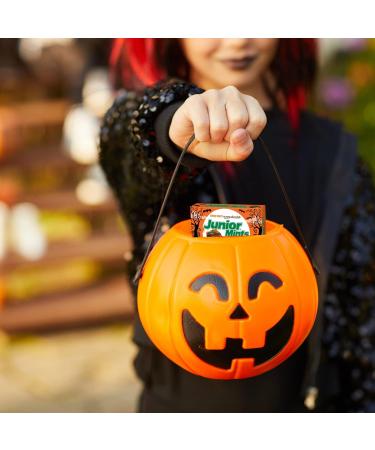 Halloween Candy Junior Mints Movie Theater Box Chocolate Mint Candy for Party Bags and Gift Baskets Pack of 3 3.5 Ounce - Buy Online on SooperMarket.com