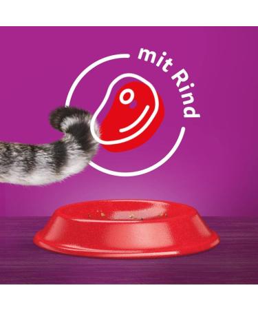 Buy Whiskas Adult 1+ Dry Cat Food - Beef 5x800g Packs | Premium Drying Cat Food for Adults - Various Packaging Options - Buy Online on SooperMarket.com