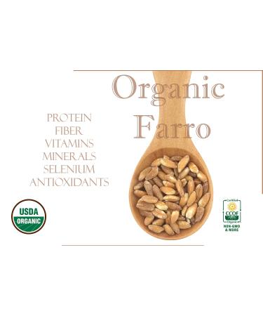 Organic Italian Pearled Farro - Raw, Non-GMO, Vegan, Bulk - 7LB Pack - Protein & Fiber Rich - Buy Online on SooperMarket.com