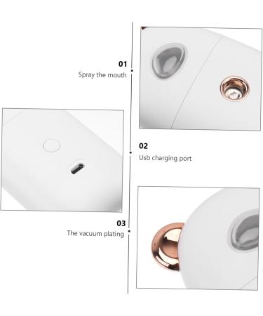 NOLITOY 2 Pcs Beauty Humidifier Portable Facial Mister Facial Mist Sprayer Hydrating Instrument - Buy Online on SooperMarket.com