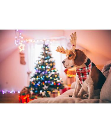 Buy Lionet Paws Christmas Dog Bandana | Headscarf & Towel for All Dog Sizes - Festive Holiday Style - Buy Online on SooperMarket.com