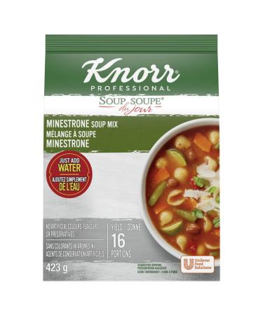 Knorr Professional Minestrone Soup Mix Minestrone 423 g (Pack of 1)