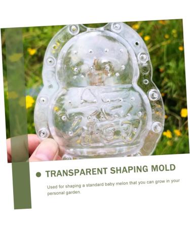 STOBOK 6 Pcs Vegetable Shaping Mold Tool Cucumbers Pear Growth Watermelon Mold Growing Fruit Mold Cute 9x8cm Transparent - Buy Online on SooperMarket.com