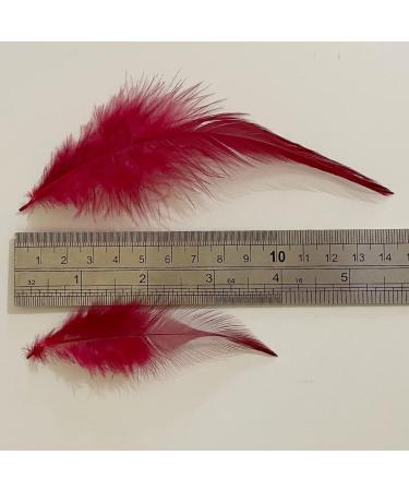 100pcs Red Rooster Saddle Hackle Feathers 5-7 Inch for Crafts & Jewelry Making - Buy Online on SooperMarket.com