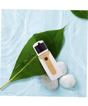 Housoutil 1 Set Hydrating Instrument Humidifier Portable Face Steamer Face Water Meter Air - Buy Online on SooperMarket.com