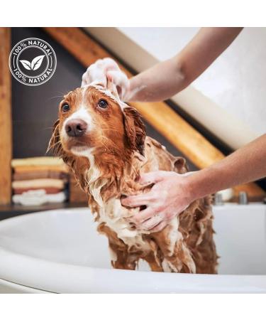 Talc Balancing Cream for Puppies & Kittens - 500ml | IV San Bernard - Gentle Cleaning for Young Animal Coats - Buy Online on SooperMarket.com