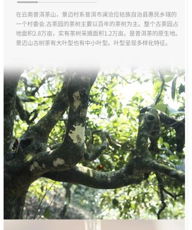 Pu-erh tea 2016 Jingmai 357g.Raw - Buy Online on SooperMarket.com