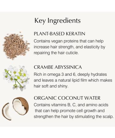 John Masters Naturals Overnight Hair Mask 4.2 oz | Plant Based Keratin & Crambe Abyssinica | 99% Natural | COSMOs Organic Certified | Vegan - Buy Online on SooperMarket.com