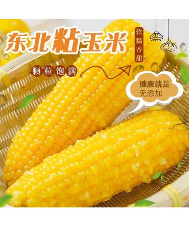 Delicious yellow glutinous corn stick sweet corn fresh corn vegetable snacks nutritious breakfast Coarse grains cereal Dim sum dessert sweets Chinese snack gift pack convenience food (8 bags) - Buy Online on SooperMarket.com