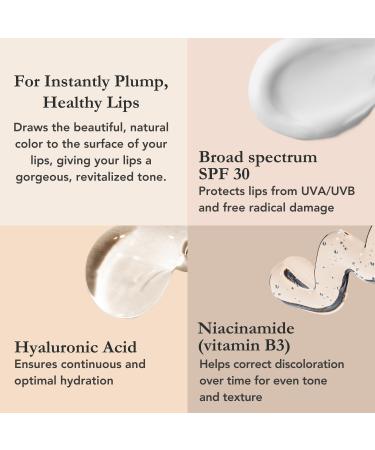 AN Skin Lip Plumping SPF Gloss | Tinted Lip Balm with SPF 30 | Hydrating Lip Moisturizer with Ceramides & Peptides - Buy Online on SooperMarket.com