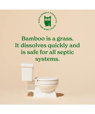 Caboo Bamboo Flushable Wipes 60 Ct Travel Packs (Pack of 3) | Eco-Friendly & Biodegradable | Septic Safe & Certified Flushable | for Adults & Kids - Buy Online on SooperMarket.com